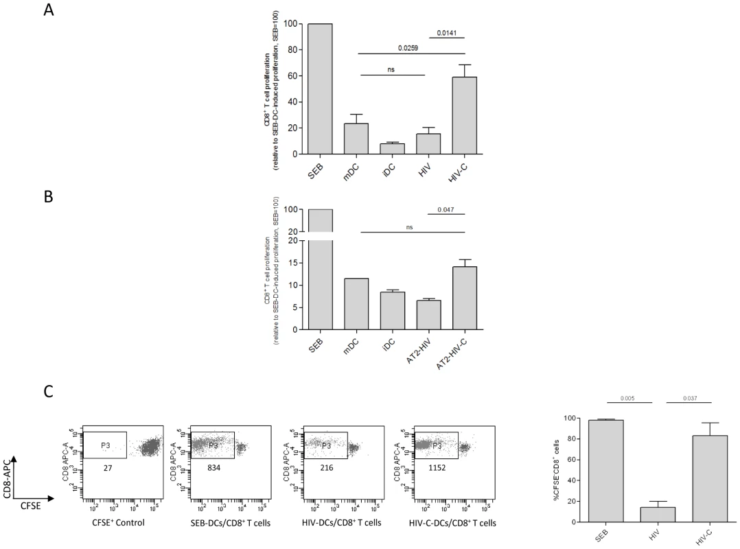 Proliferation of HIV-C-DC-primed CD8<sup>+</sup> T cells.