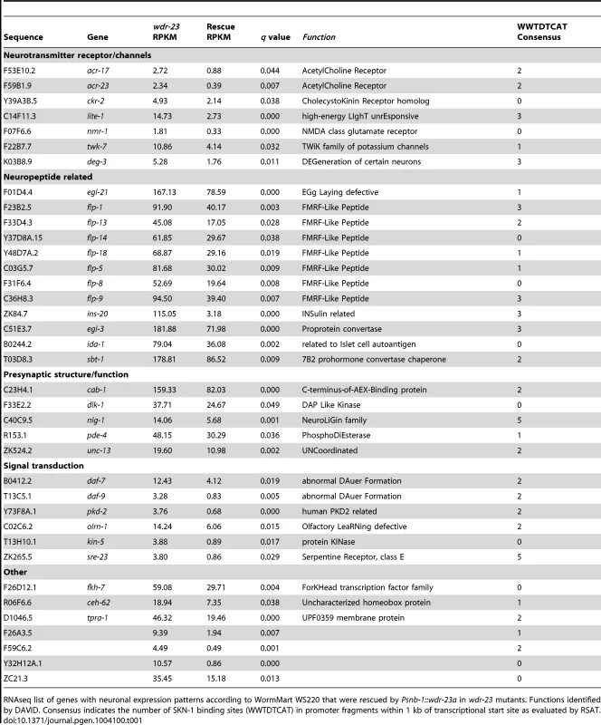 Neuronal targets of SKN-1 identified by RNA sequencing.