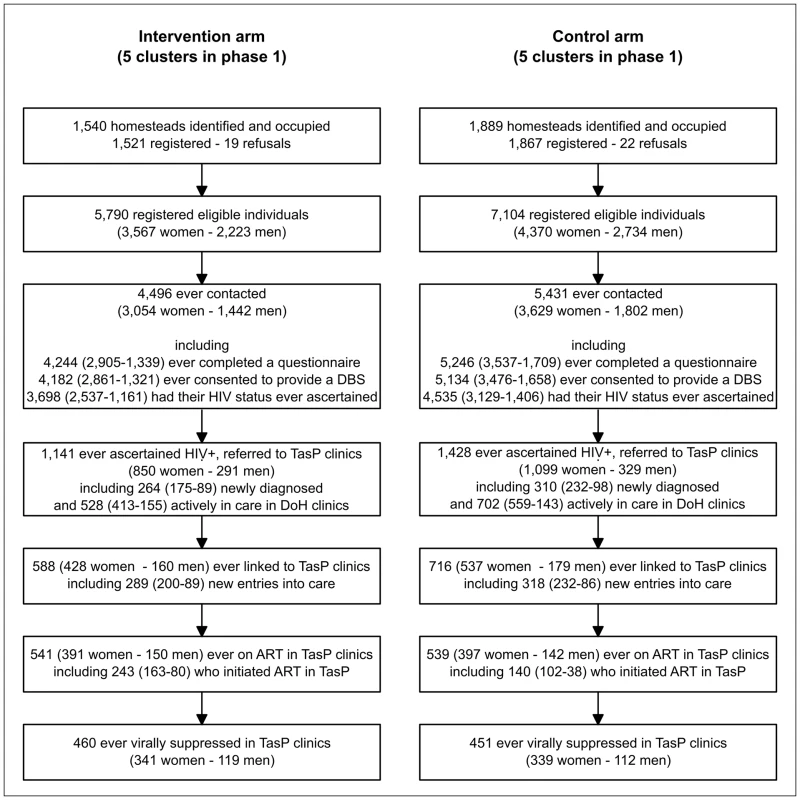 Flow diagram of enrolment by trial arm and sex in the ANRS 12249 TasP trial.
