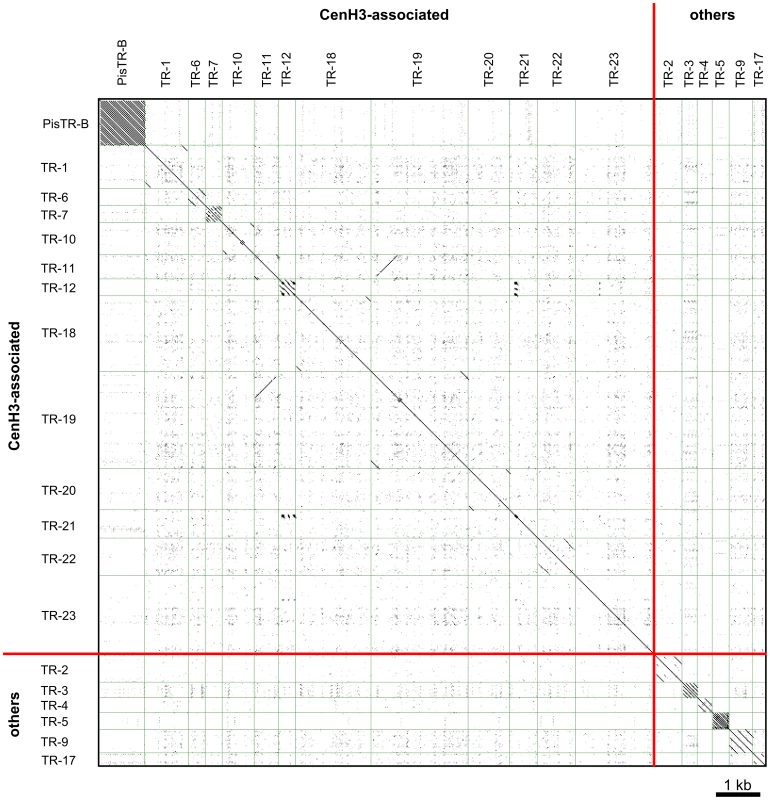 All to all dot-plot comparison of the pea satellite repeats.