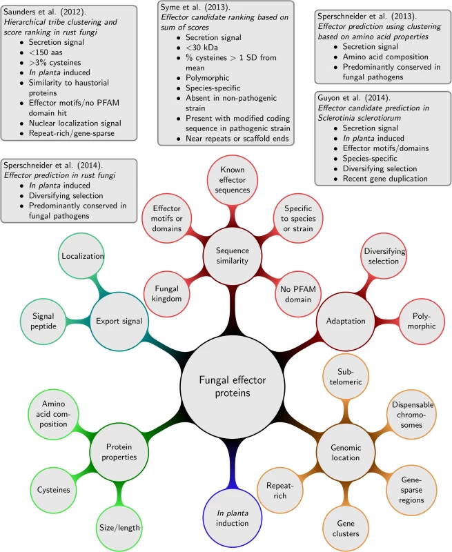 Lines of evidence that have been used for predicting fungal effector proteins and examples for fungal effector prediction pipelines.