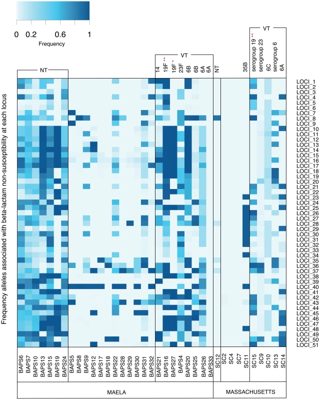 Frequency of putative resistance alleles from candidate loci in the Maela and Massachusetts populations.