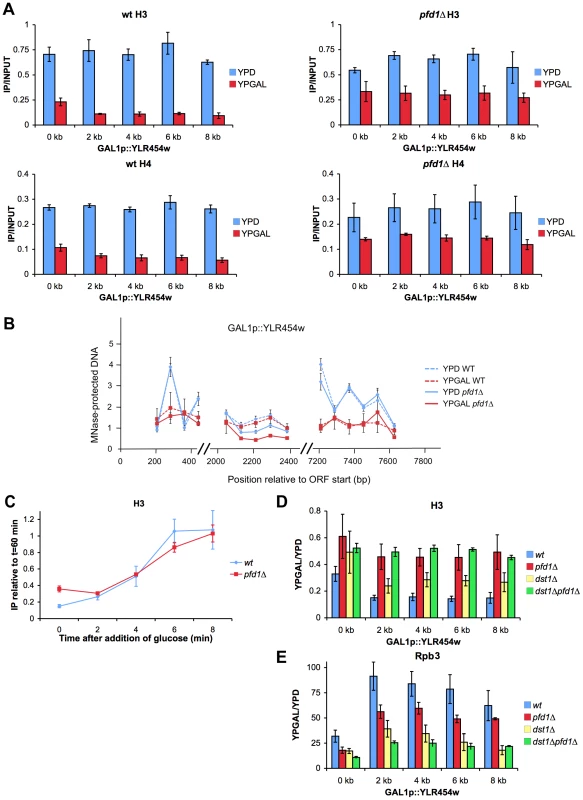Histone dynamics during transcription elongation is impaired in <i>pfd1Δ</i>.