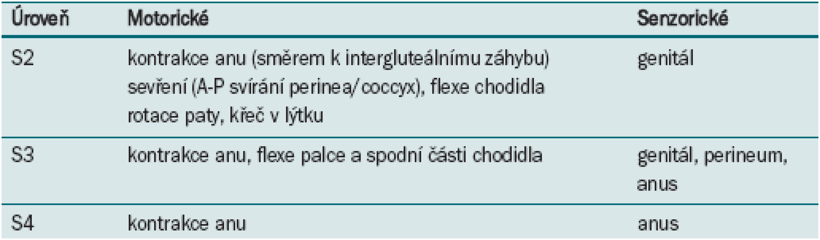 Předpokládané motorické a senzorické odpovědi na stimulaci S2, S3 a S4.