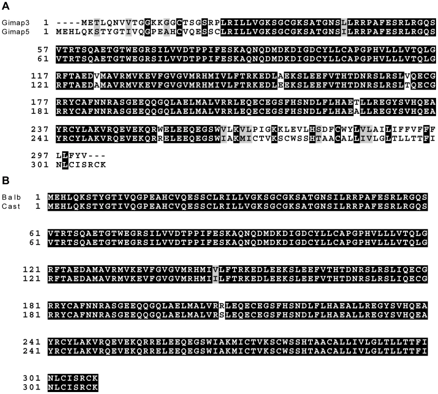 Gimap3 and Gimap5 protein sequences.