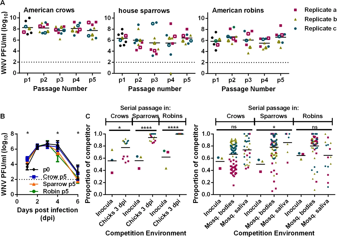 Passage of WNV in birds results in competitive fitness increases while viremia remains unchanged.