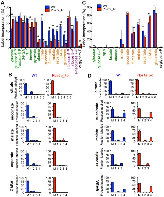 <i>P. berghei</i> parasites lacking the BCKDH-E1a subunit exhibit a perturbed TCA cycle.