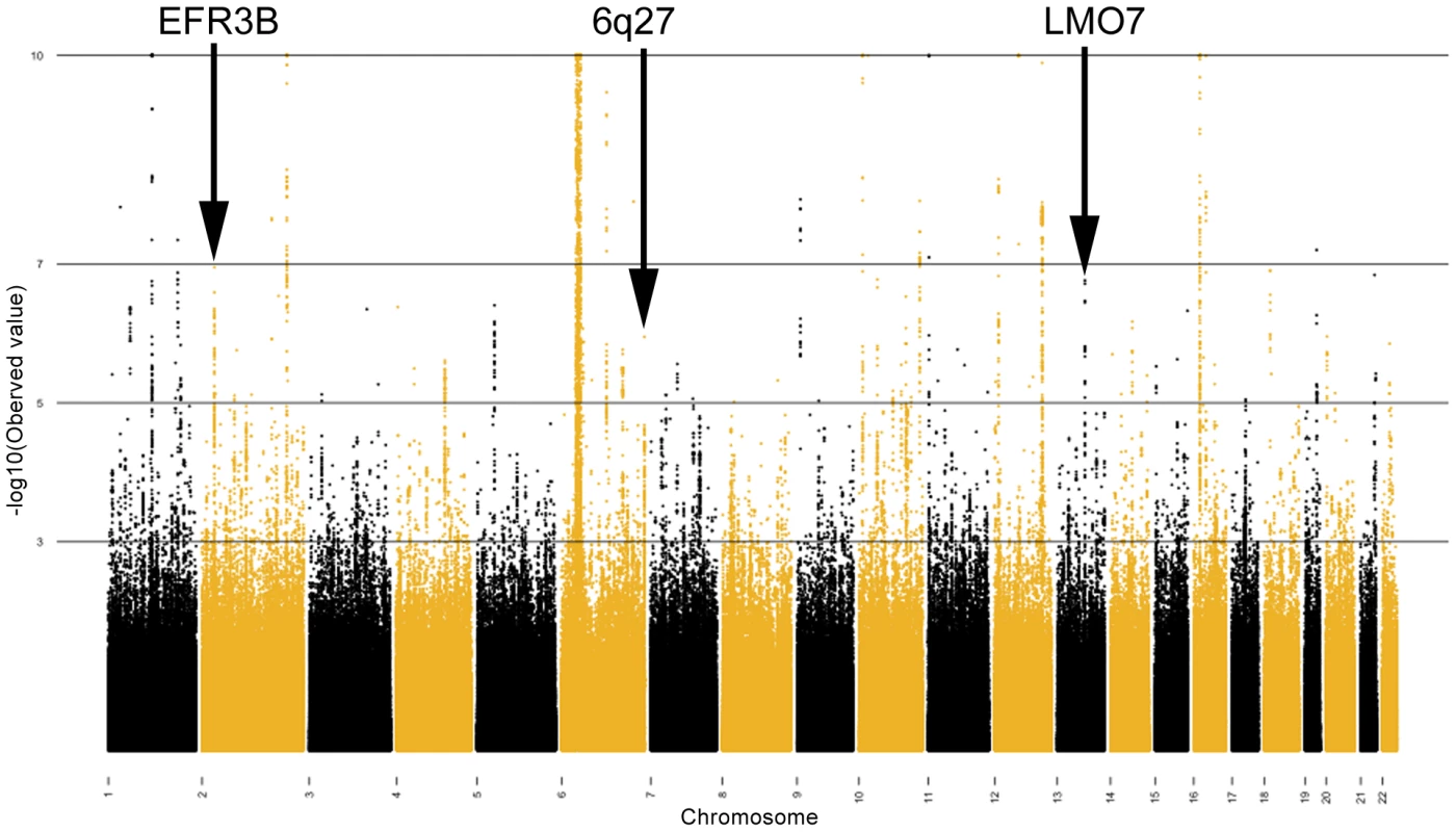Fixed effects meta-analysis <i>P</i>-values shown for each SNP in the combined meta-analyzed discovery cohort.