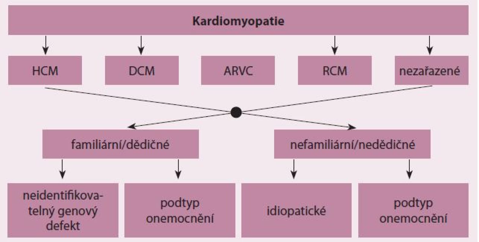 Klasifikace kardiomyopatií podle Evropské kardiologické společnosti.