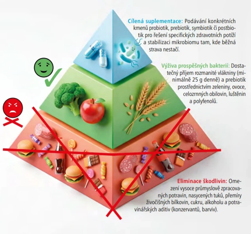  – Pyramida péče o střevní mikrobiotu