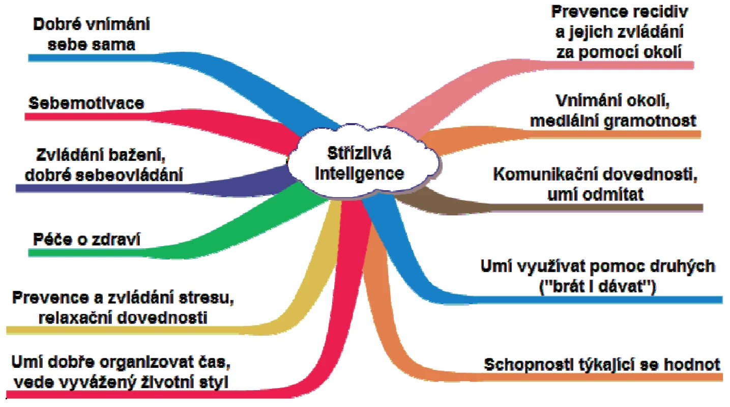 Střízlivá inteligence