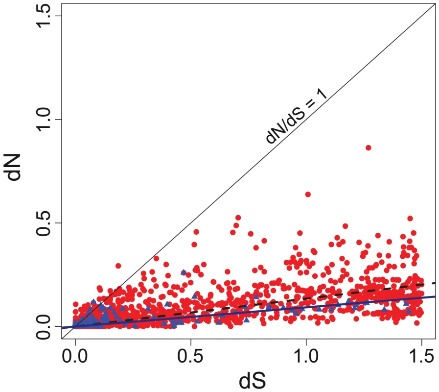 Evolutionary rates differ between paralogs and xenologs.