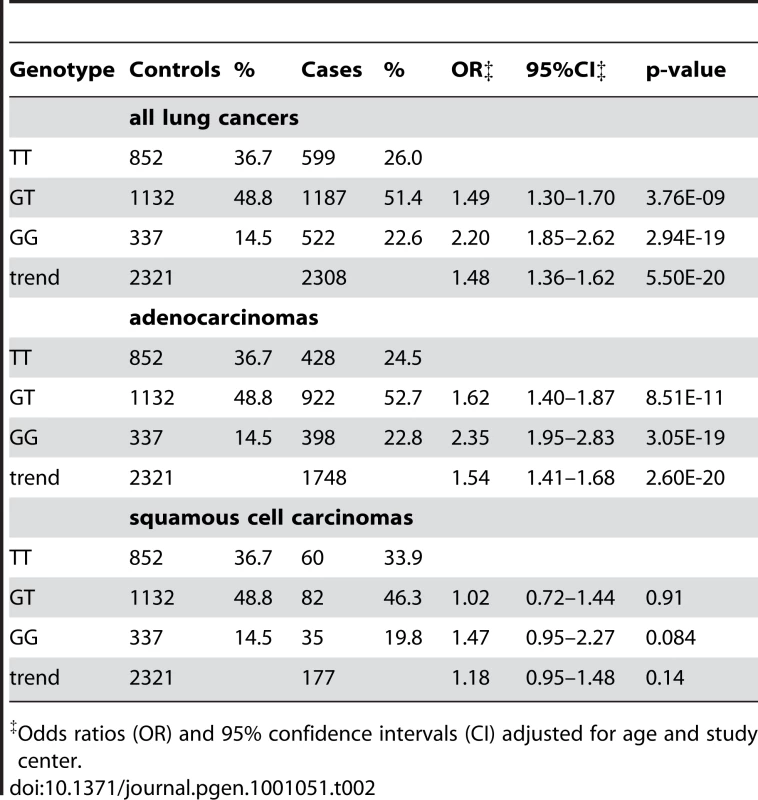 Lung cancer risk associated with rs2736100, among never-smoking females from East Asia, by histology.