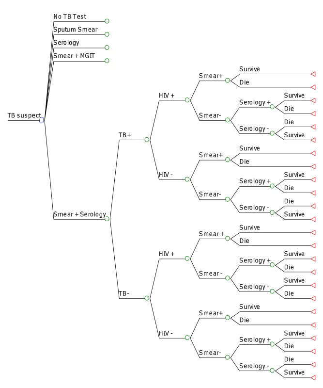 Study decision tree.