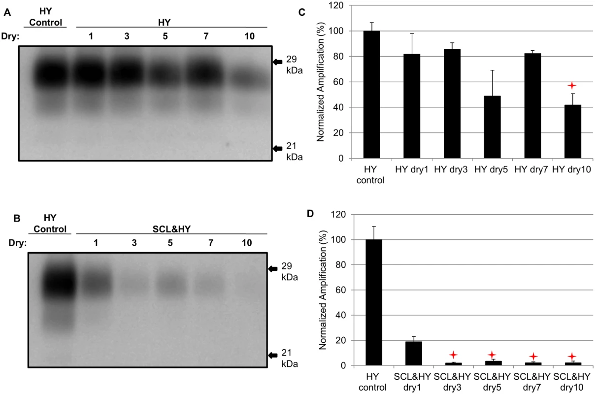 Sorption of HY to soil reduces the number of wet dry cycles that result in a decrease in PMCA conversion activity.