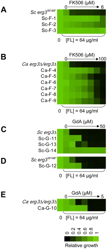 The populations evolved distinct resistance profiles.