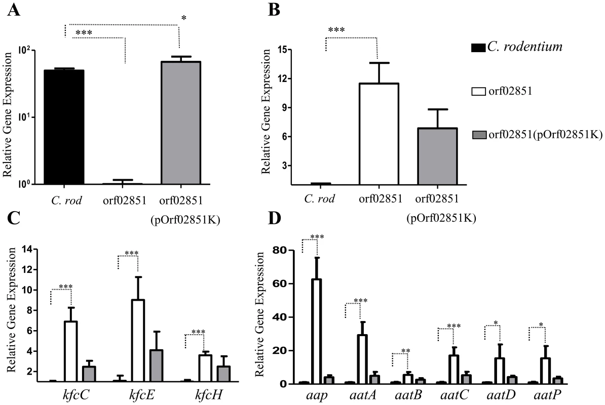 Repression of <i>regA</i> and its regulon by orf60 homolog-orf02851.
