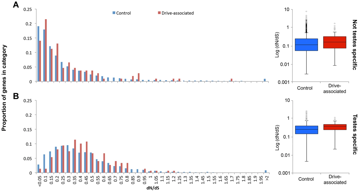 Drive-associated transcripts show elevated rates of protein evolution.