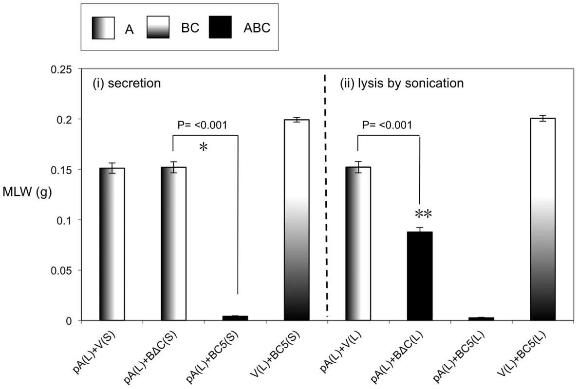 The N-terminal 361 amino acids of TcdB1 are not essential for toxicity.