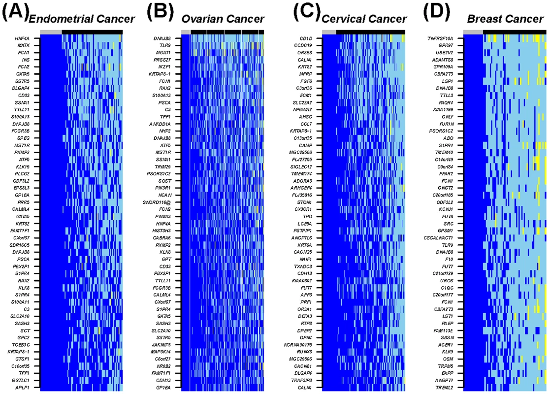 Heatmap of the top 50 most frequently hypomethylated MESCs in cancers.