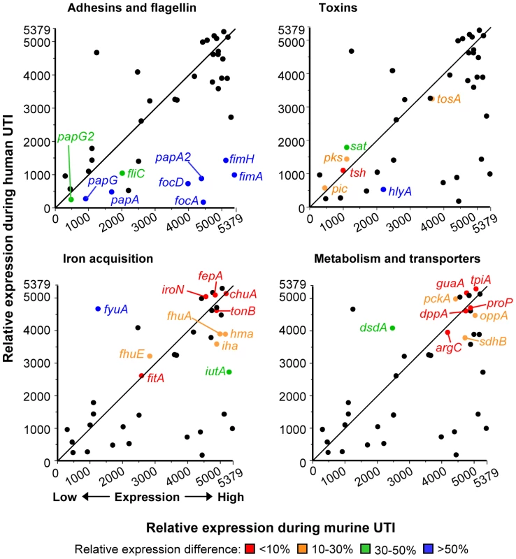 Host-specific virulence gene expression by <i>E. coli</i>.