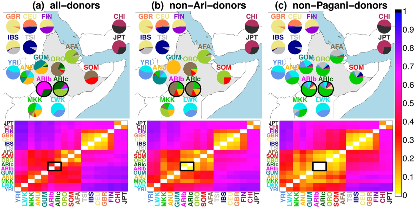 Inferred ancestry composition of groups under each analysis.