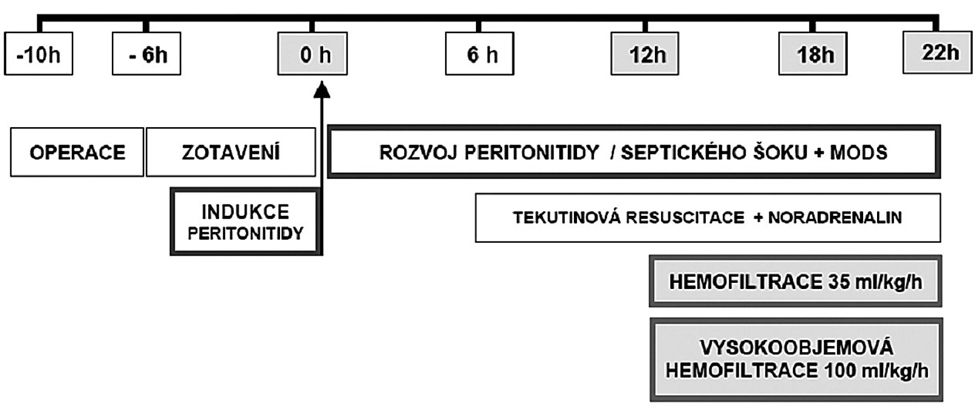 Schéma protokolu studie
