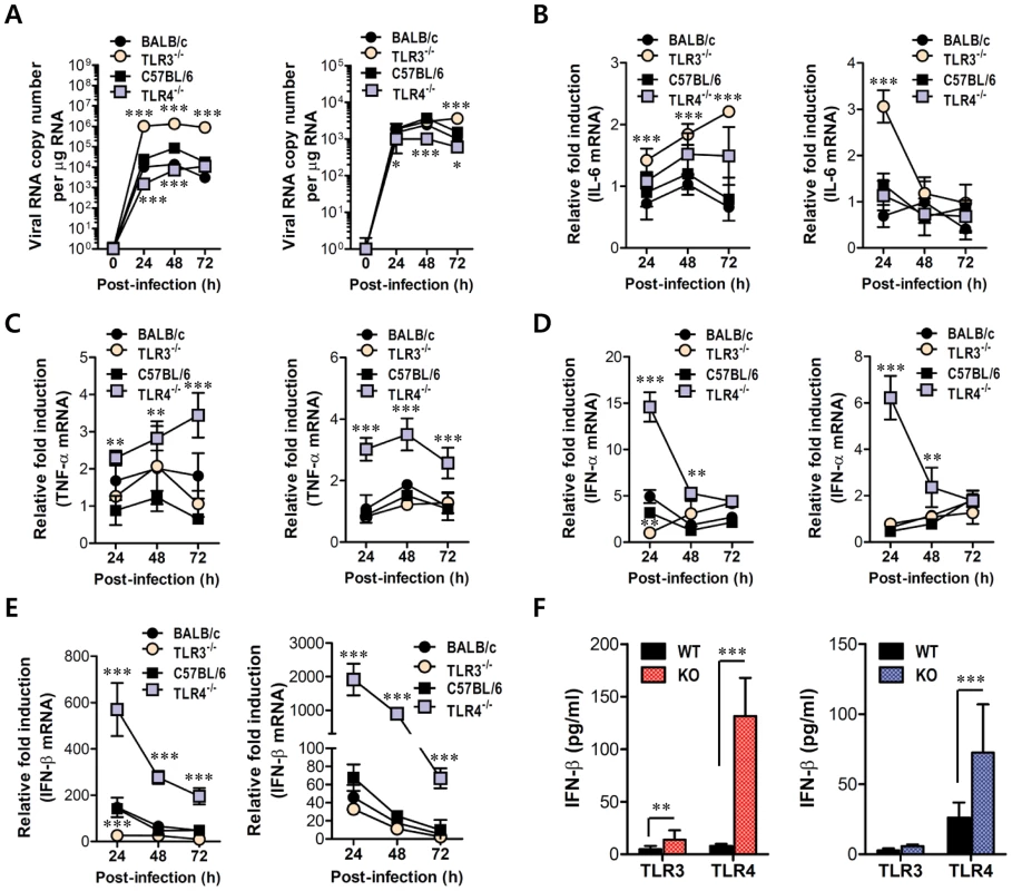 Virus control and type I IFN responses of myeloid cells derived from TLR3<sup>−/−</sup> and TLR4<sup>−/−</sup> mice to JEV infection.