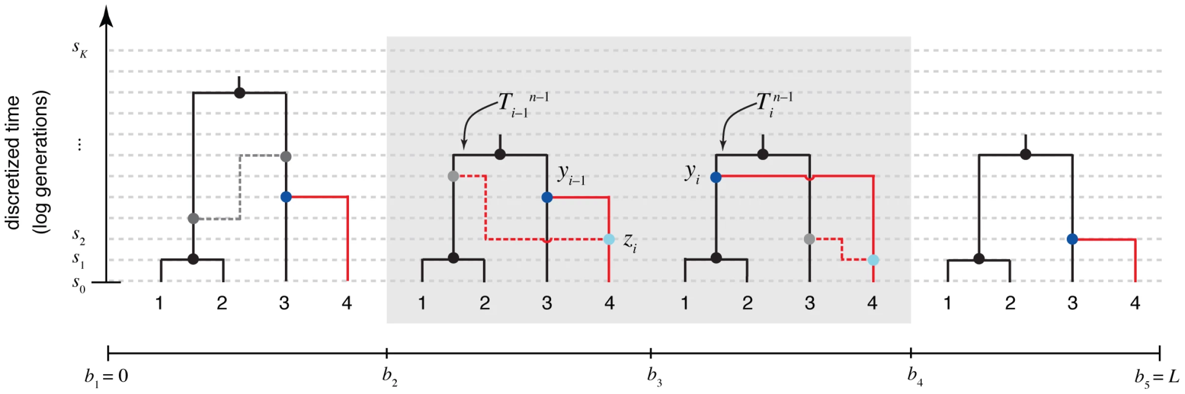The “threading” operation.