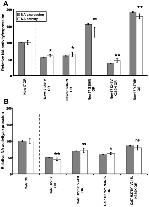 NA V241I and N369K enhance the expression and activity of A(H1N1)pdm09 NA proteins.