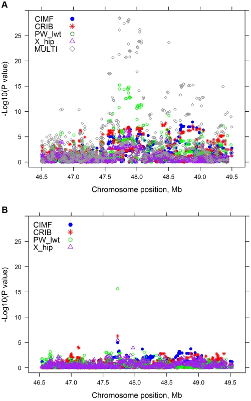 A: The −log<sub>10</sub>(<i>P</i>-values) of single SNP regressions for 4 traits and multi-trait chi-squared statistic on a region of BTA 5; B: The −log<sub>10</sub>(<i>P</i>-values) of single SNP regressions for 4 traits when SNP<sub>i</sub> along with 28 lead SNPs were simultaneously fitted in the GWAS model.