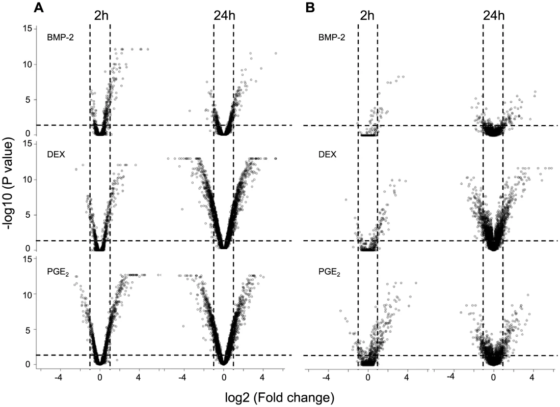 Global response on gene expression upon environmental perturbation.