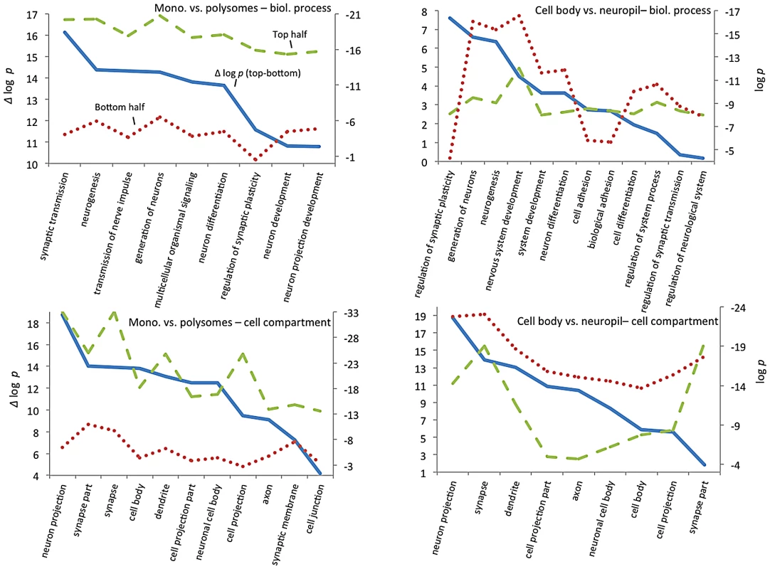 GO functional annotation clustering of CELF4 targets.