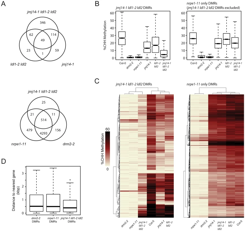 De novo identification of DMRs in <i>jmj14-1 ldl1-2 ldl2</i> and <i>nrpe1-11</i> mutant backgrounds.