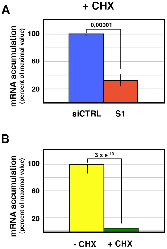 Accumulation of mRNA during the influenza virus infection of SFPQ/PSF-silenced cells treated with cycloheximide.