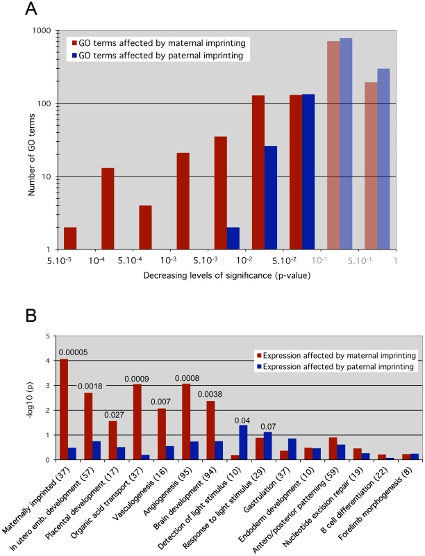 Maternal versus paternal imprint influence on specific molecular functions and developmental processes.