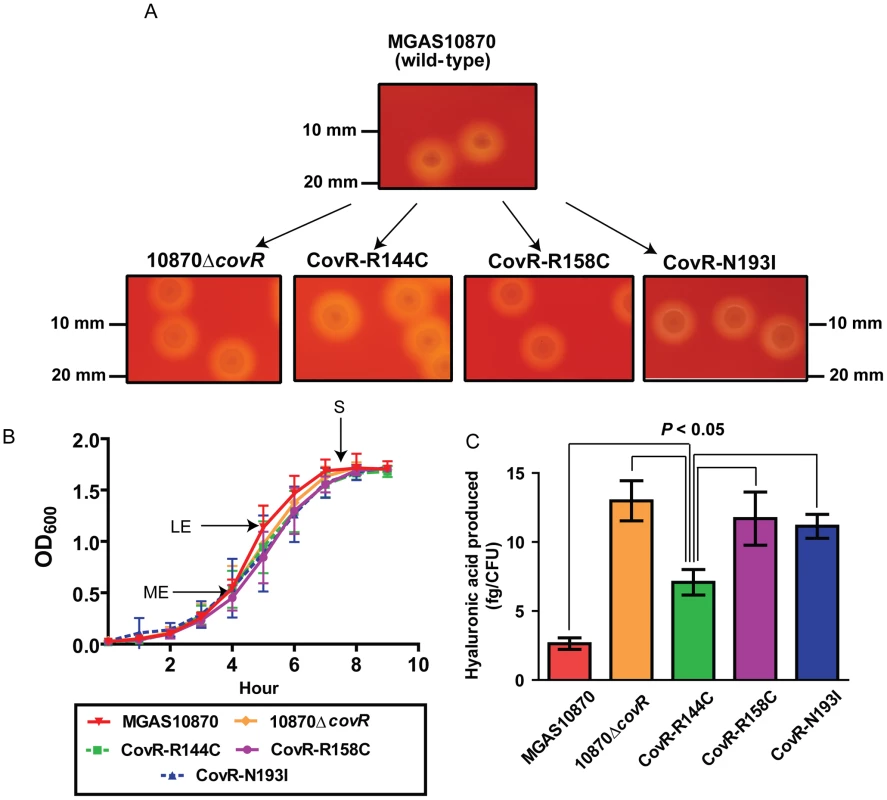 Strain creation schematic and characterization.