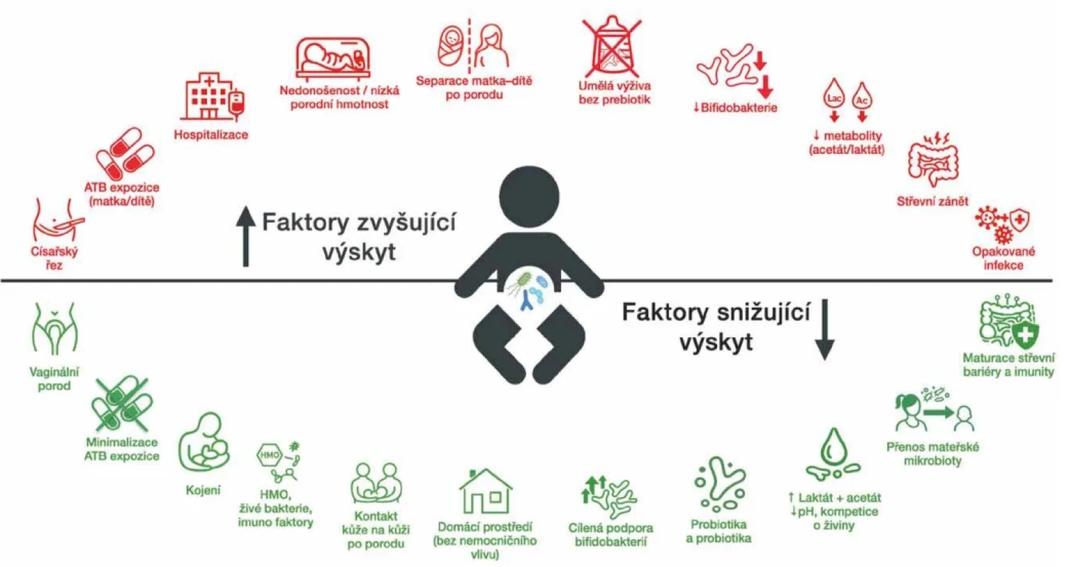 Faktory ovlivňující výskyt Klebsiella spp. ve vyvíjející se střevní mikrobiotě (zdroj: vlastní zpracování) Figure 2. Factors influencing the presence of Klebsiella spp. in the developing gut microbiota (source: own work)