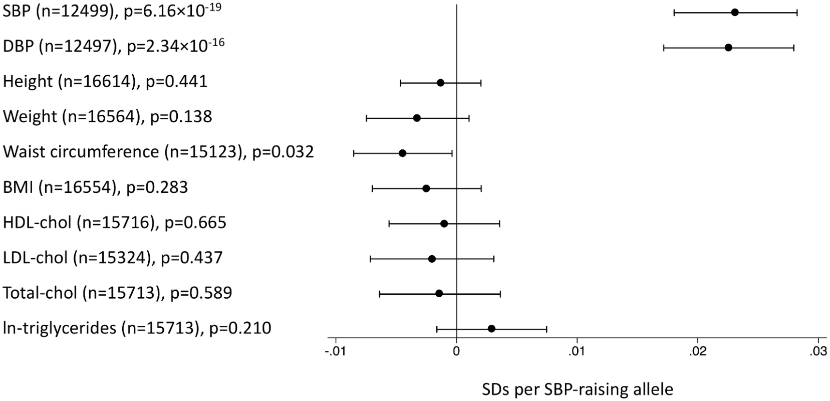 Associations of the systolic blood pressure genetic score with quantitative traits in the EPIC-InterAct study.
