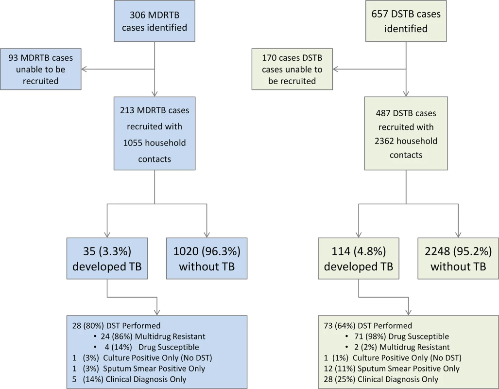 Flow diagram of recruitment to the study and study outcomes.