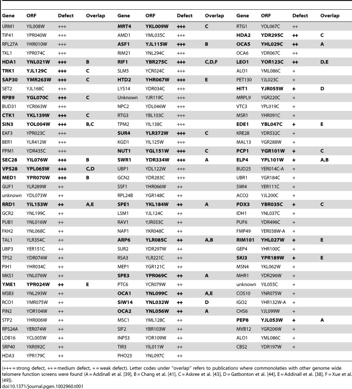 Mutants from the screen that grew in FOA indicating a telomere looping defect.