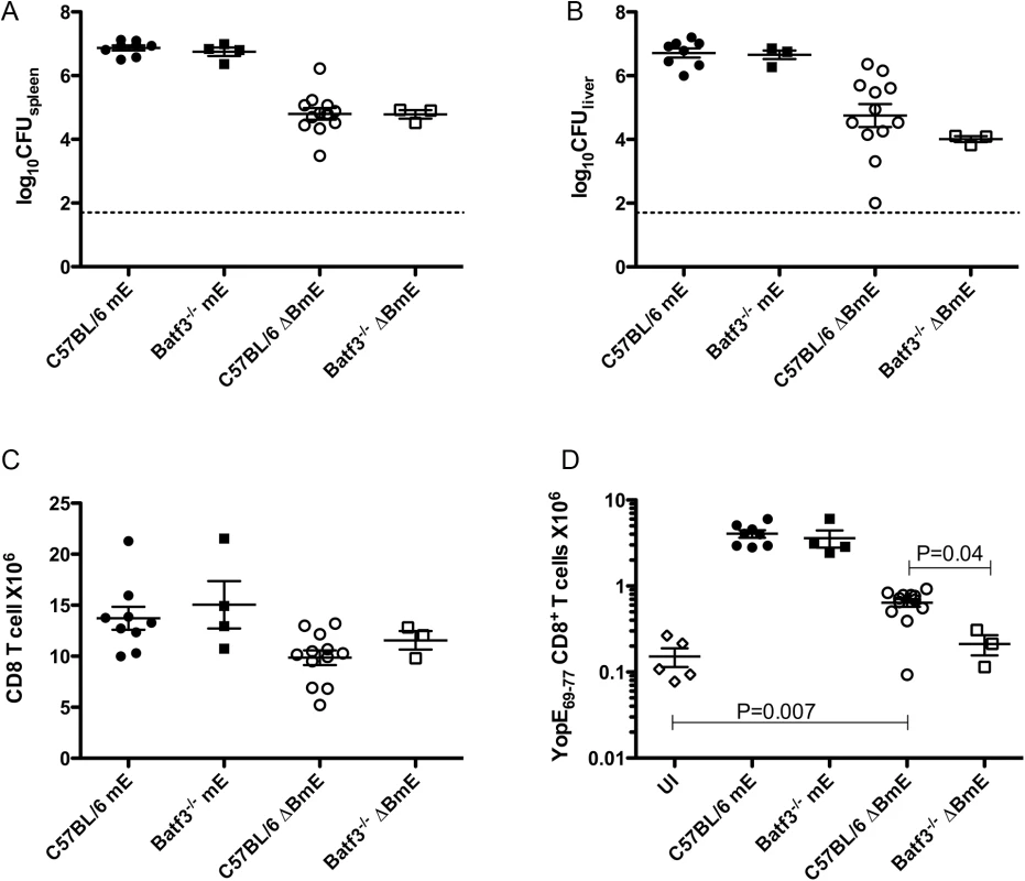 Diminished translocation-independent production of ET cells in Batf3<sup>-/-</sup> mice.