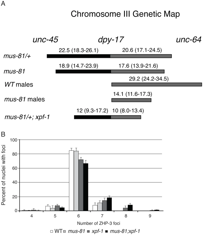 MUS-81 and XPF-1 are required for wild type frequency of crossovers.