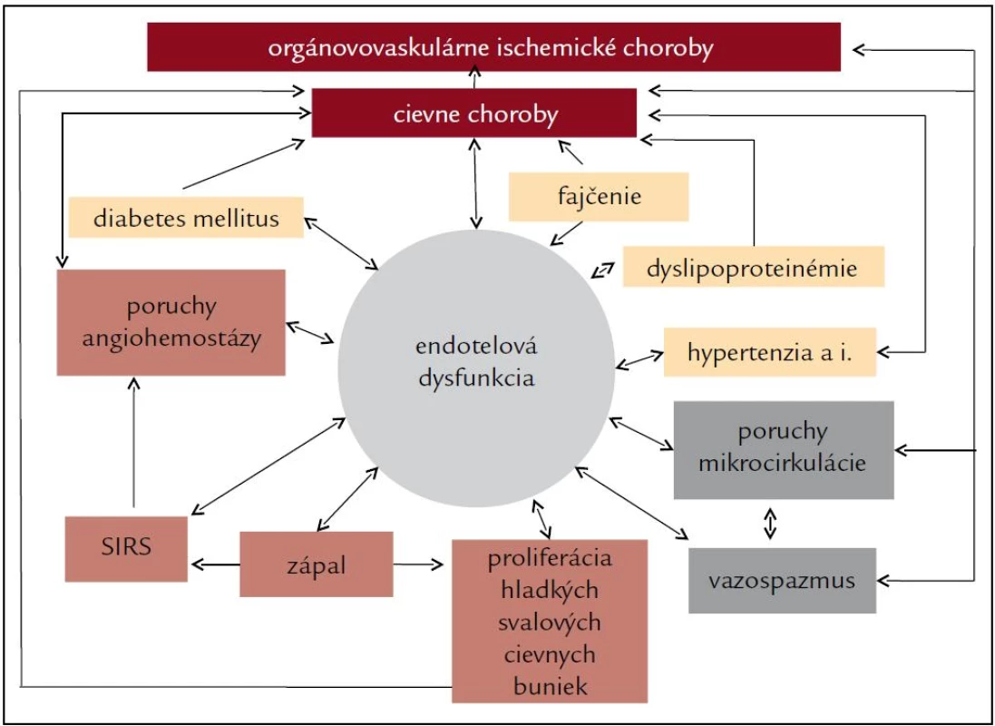 Endotelová dysfunkcia [16].