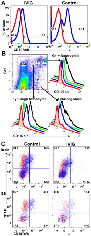 IVIG inhibits macrophage degranulation.