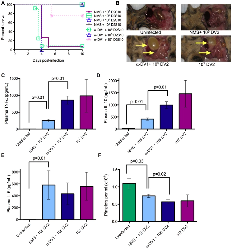 Lethal enhancement of dengue disease by anti-DV sera.