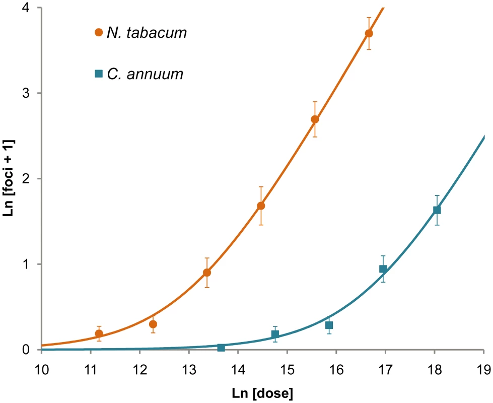 Number of primary infection foci in inoculated leaves at different doses.