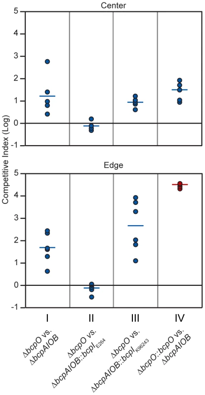 Δ<i>bcpO</i>-mediated contact dependent growth inhibition.