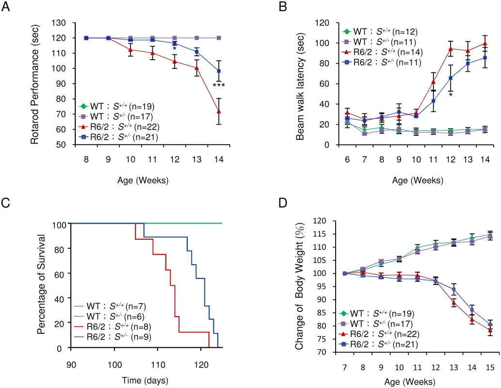 Effect of <i>Supt4h</i> deletion on motor function and lifespan of R6/2 mice.