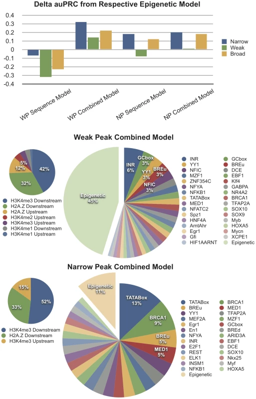Computational Models Support the Stronger Contribution of Chromatin Features to the Definition of Dispersed TSSs.